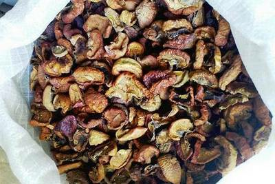 Полипропиленовые мешки для сухофруктов в Подольске